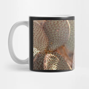 Beavertail Cactus Mug